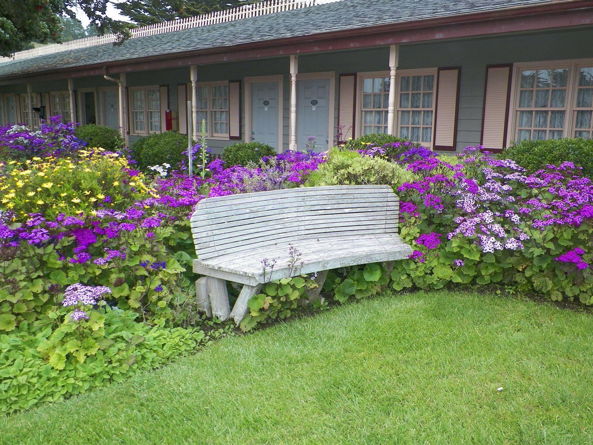 Sea Otter Inn Cambria Luaran gambar