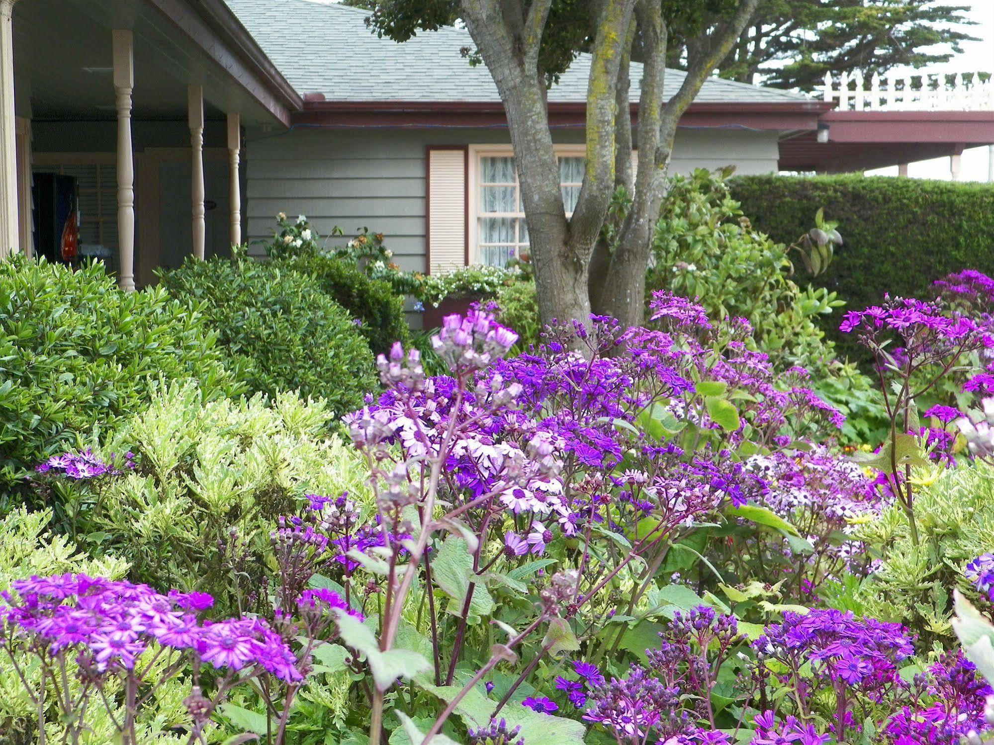 Sea Otter Inn Cambria Luaran gambar